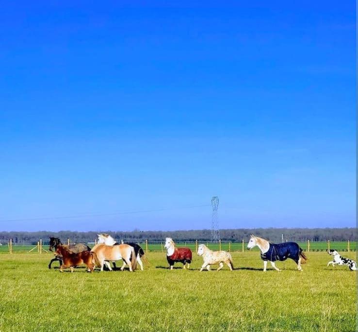 Gite Au Haras D'Agathe Et Ses Princes Les Barils Экстерьер фото