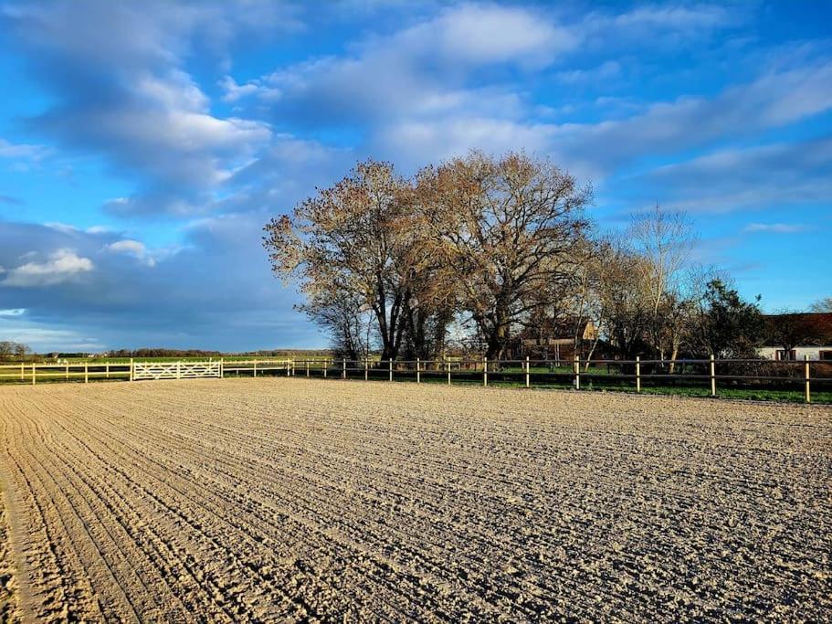 Gite Au Haras D'Agathe Et Ses Princes Les Barils Экстерьер фото